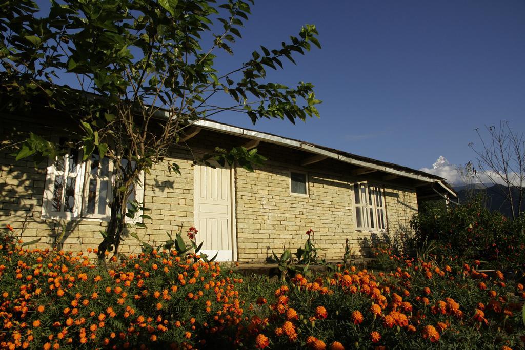 Annapurna Eco Village Pokhara Exterior foto